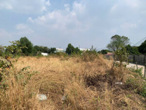 Mua bán đất Lái Thiêu Bình Dương chính chủ