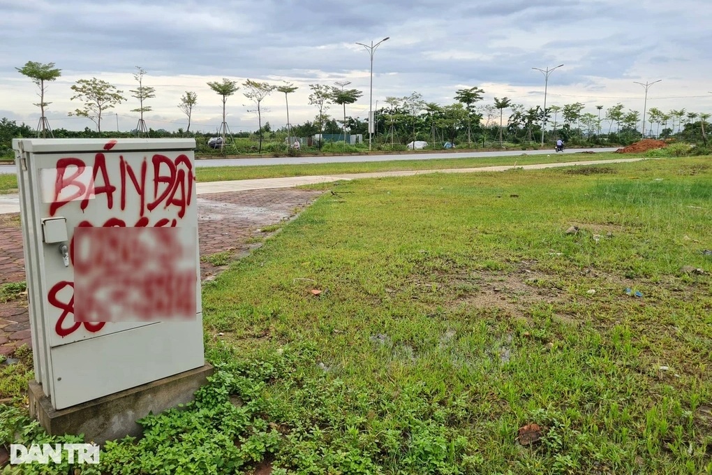 Các huyện vùng ven Hà Nội ồ ạt đấu giá đất - 1