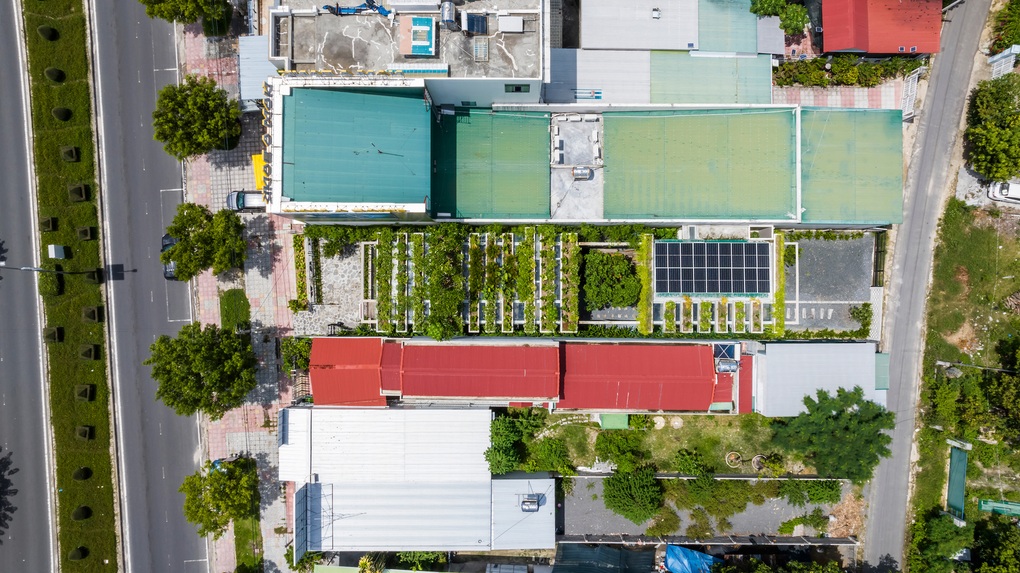 Văn phòng công ty mọc giữa rừng cây, thân thiện môi trường tại Khánh Hòa - 1